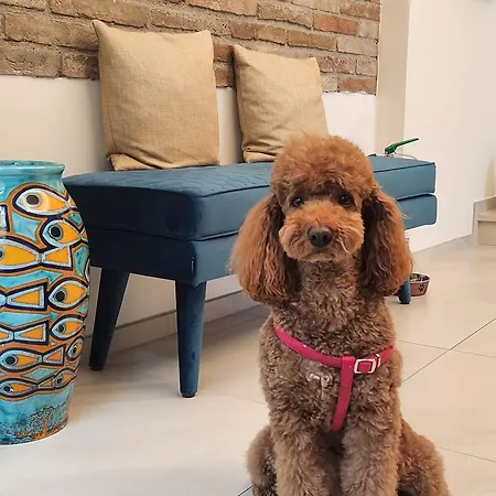 Dimora Guidi Tordini 4* غْروتّامّاري